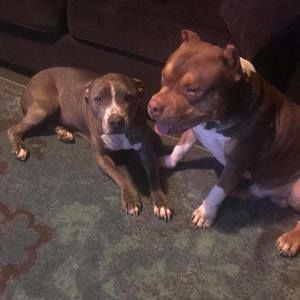 Meet your Posher, Roosevelt